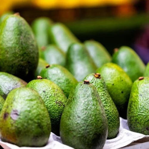 Tanzania Avocado